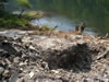 My Gallery: Image